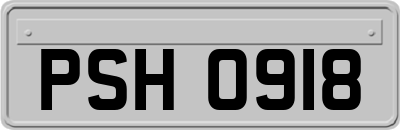 PSH0918