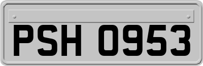 PSH0953