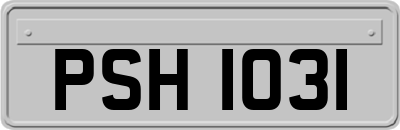 PSH1031