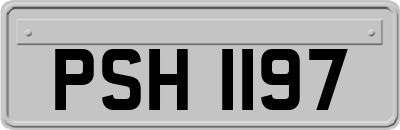 PSH1197
