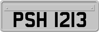 PSH1213
