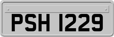 PSH1229