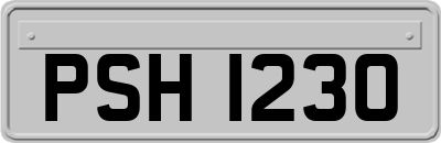 PSH1230