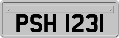 PSH1231