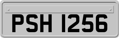 PSH1256