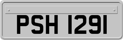 PSH1291