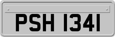 PSH1341