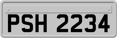 PSH2234