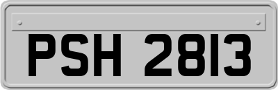 PSH2813