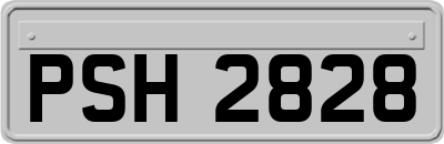 PSH2828