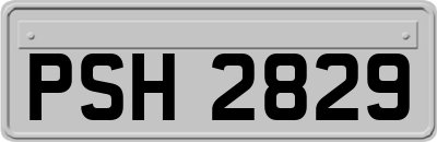 PSH2829
