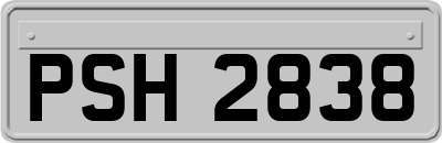 PSH2838