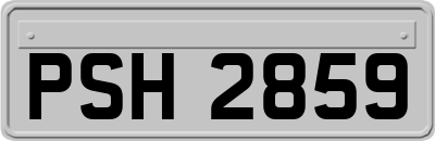 PSH2859