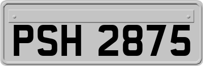 PSH2875