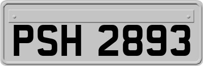 PSH2893