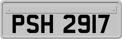 PSH2917