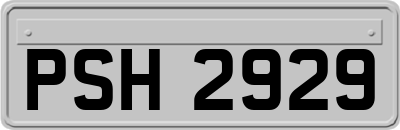 PSH2929