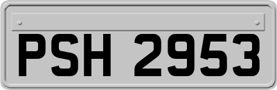 PSH2953