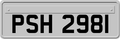 PSH2981