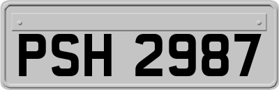 PSH2987