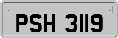 PSH3119