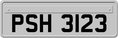 PSH3123