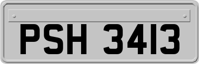 PSH3413