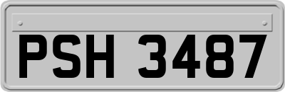 PSH3487