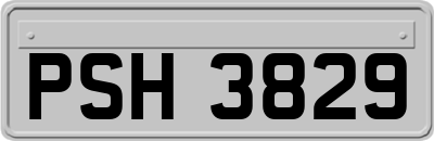 PSH3829