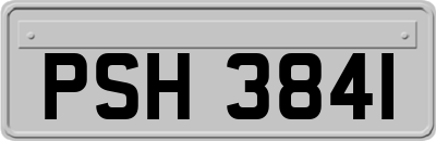 PSH3841