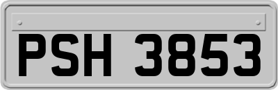 PSH3853