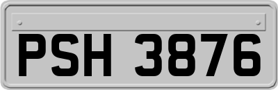 PSH3876