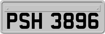 PSH3896