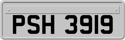 PSH3919