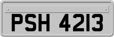 PSH4213