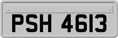 PSH4613