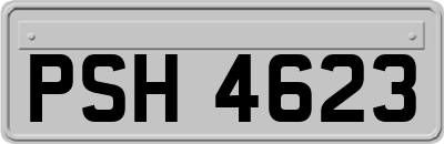 PSH4623