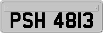 PSH4813