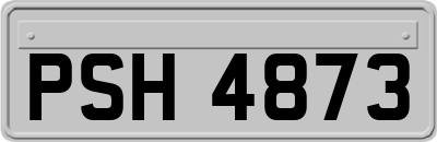 PSH4873