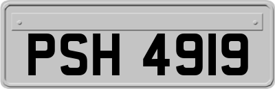 PSH4919
