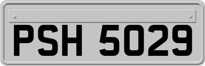 PSH5029