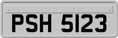 PSH5123