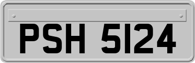 PSH5124