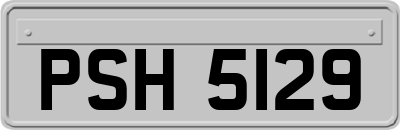 PSH5129