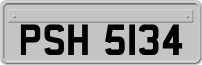 PSH5134