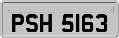 PSH5163