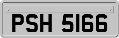PSH5166