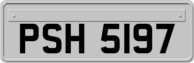 PSH5197
