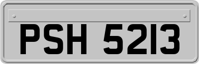 PSH5213
