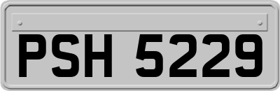 PSH5229